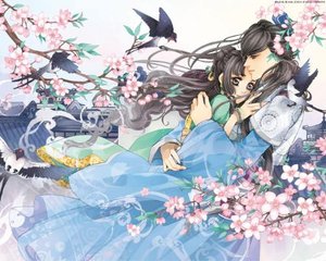 狼导航跳转视频